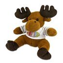 Elch Knut